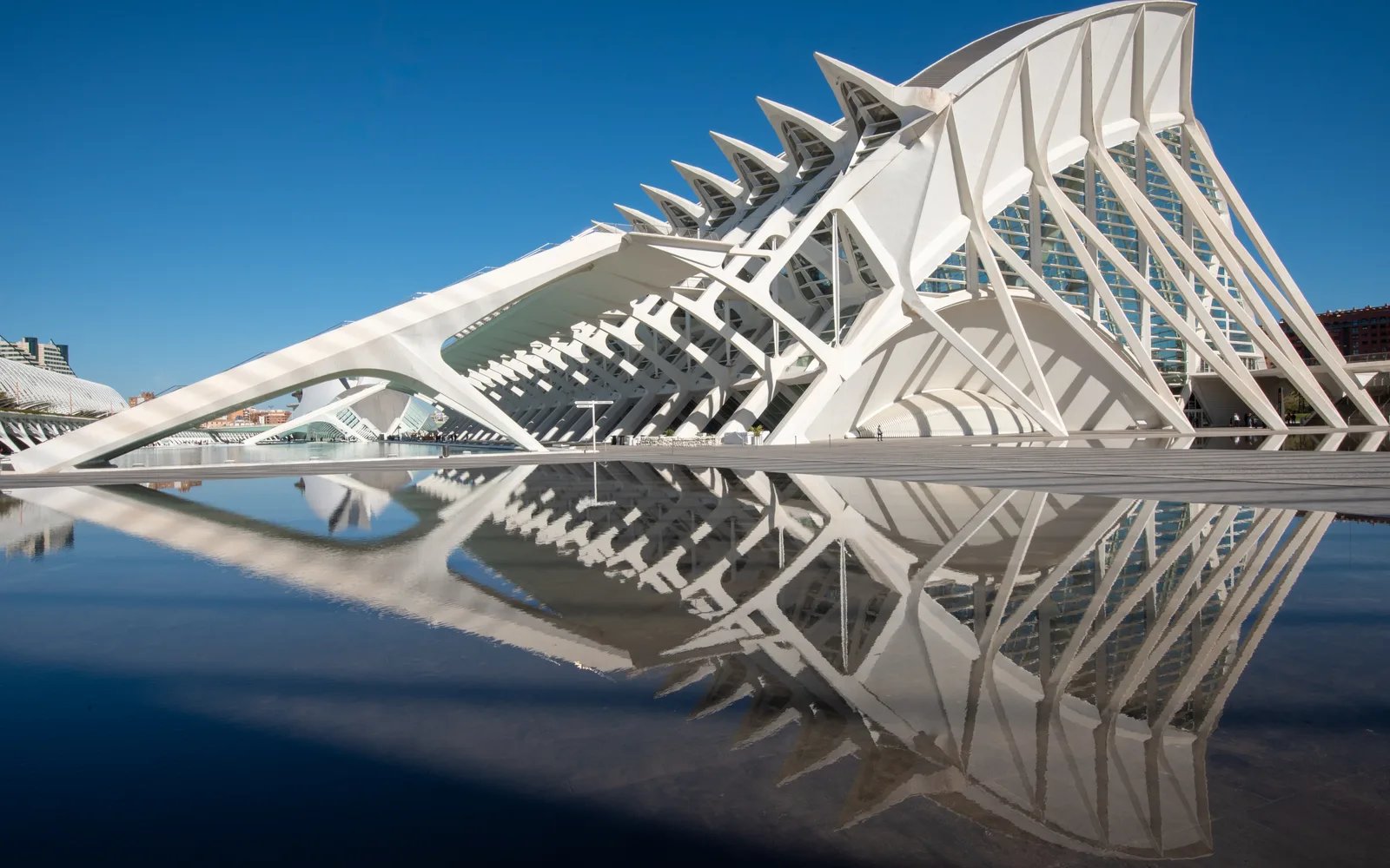 Il Museo delle Scienze Príncipe Felipe di Valencia, progettato da Calatrava, si specchia nella vasca d'acqua: la struttura bianca e il suo riflesso formano una geometria simmetrica sotto il cielo azzurro